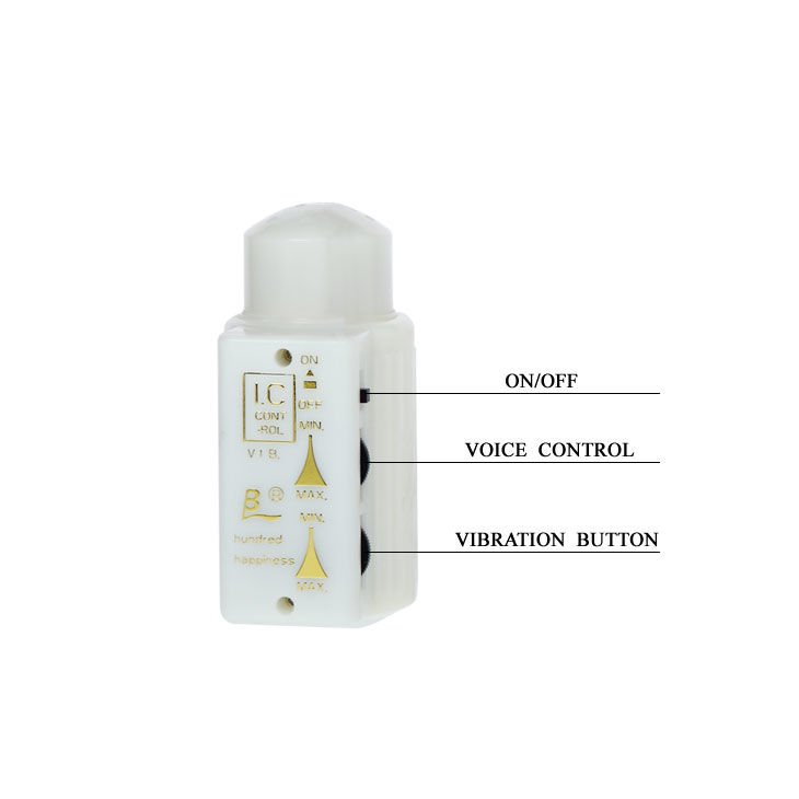 BAILE - MR BIG REALISTIC PENIS AND ANUS MASTURBATOR - Image 5